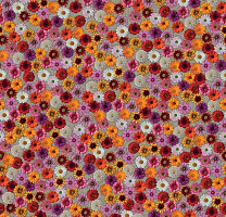 Ковролин Flotex Vision Image 000538 Multifloral фото 1 | FLOORDEALER